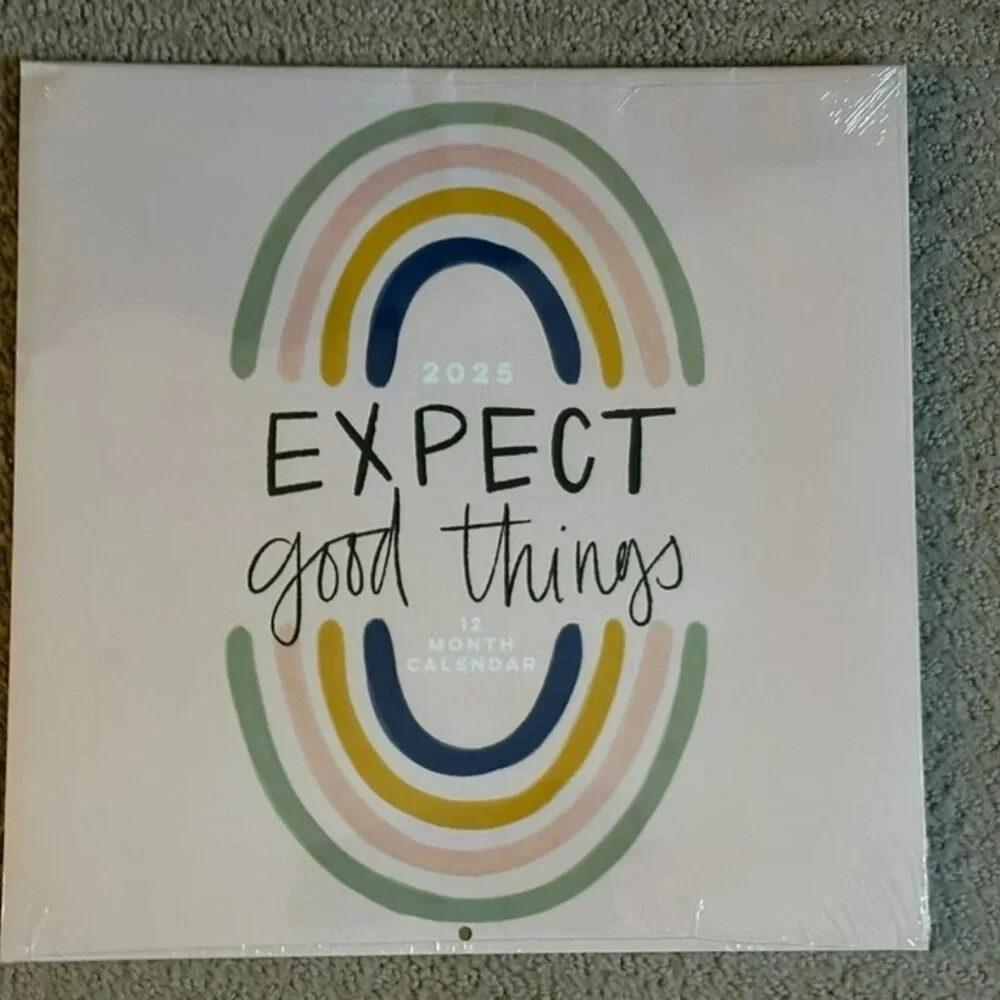 NEW 2025 Expect Good Things Wall Calendar Modern Rainbow Art Planner Office